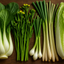 Asian Vegetables