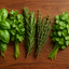 Fresh Herbs