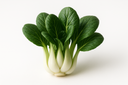 Baby Pak Choy