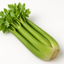 Celery