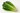 Cos Lettuce