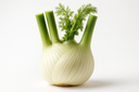 Fennel