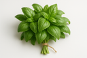 Green Basil Bunch