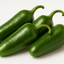 Jalapeno Chilli