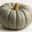 Jarrahdale Grey Pumpkin Whole