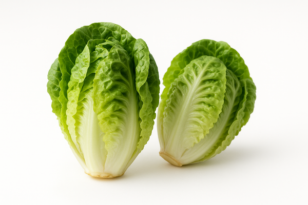 Little Gem Green Lettuce