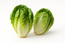 Little Gem Green Lettuce