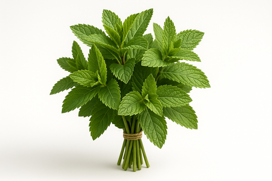 Mint Bunch