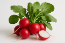 Radishes