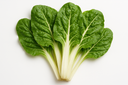 Silverbeet
