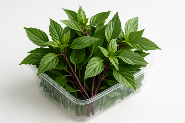Thai Basil Punnet