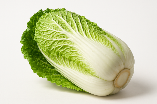 Wombok